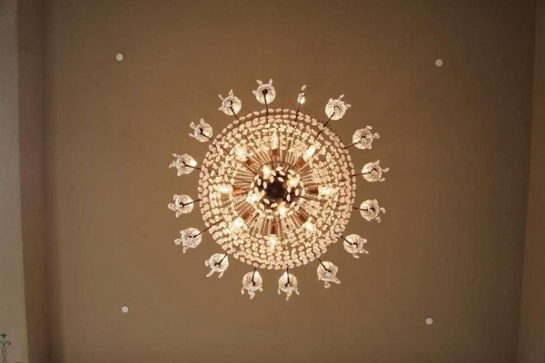 Hotel Normandie - Los Angeles image 24