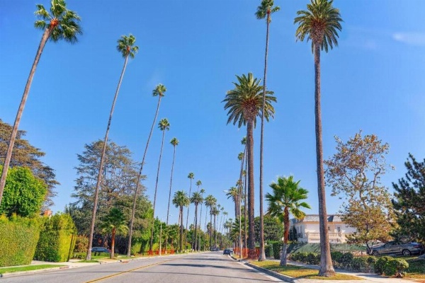 Hotel Normandie - Los Angeles image 25