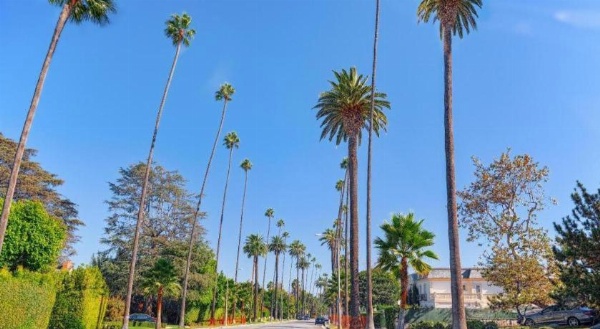 Hotel Normandie - Los Angeles image 27